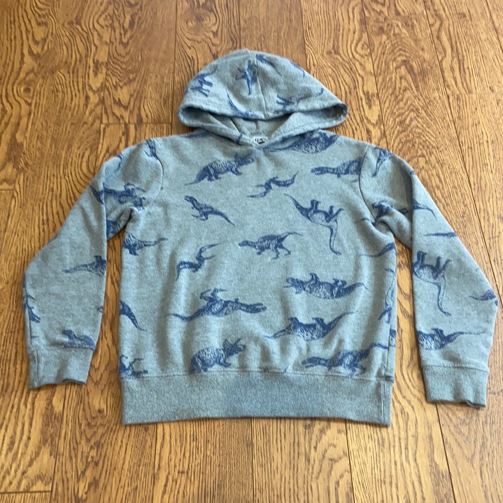 Dino hoodie - Dex - Medium